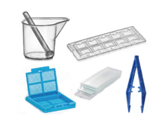 Histology and Accessories KANGJIAN